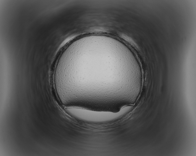 X0000083601404200703021900