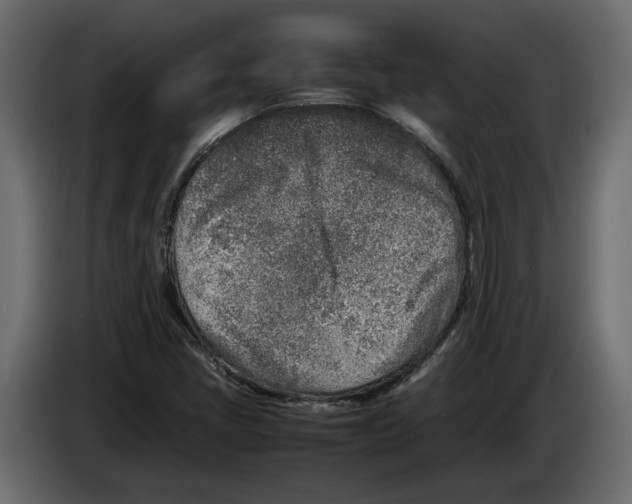 X0000083601405200703021900