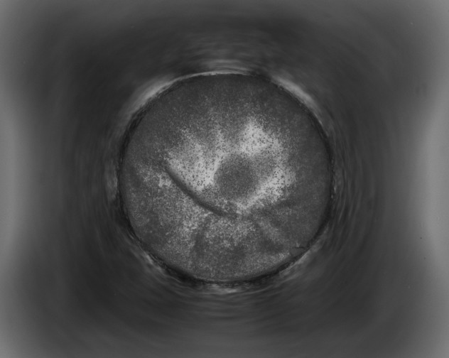 X0000083601407200703021900