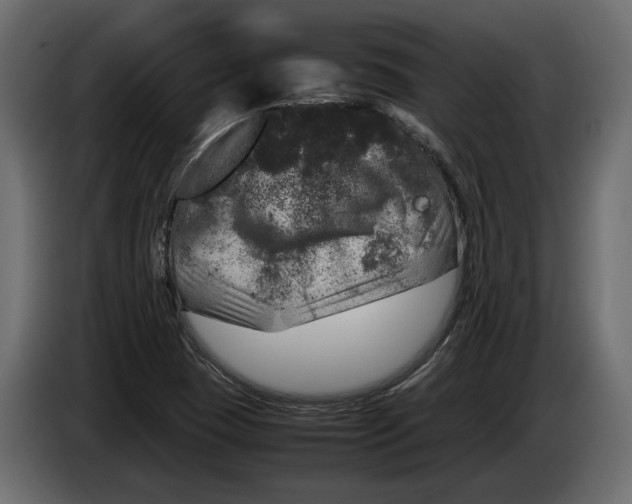 X0000083601409200703021900