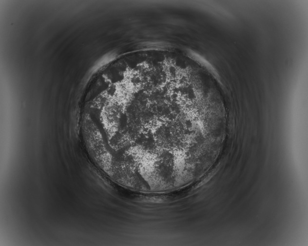 X0000083601411200703021900