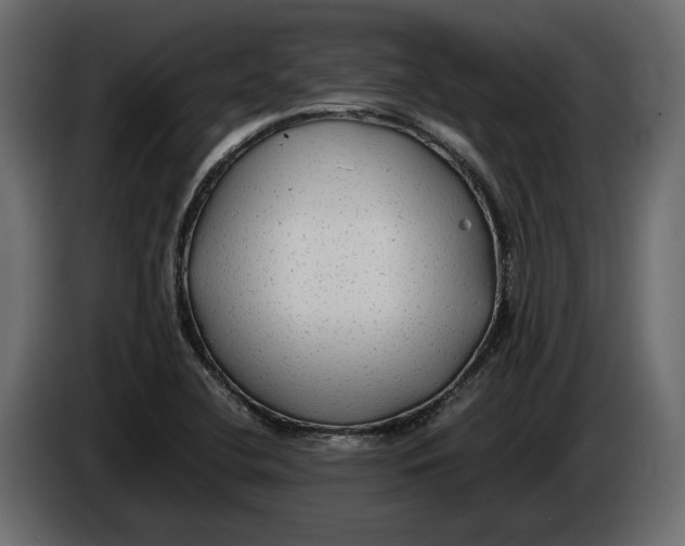 X0000083601412200703021900