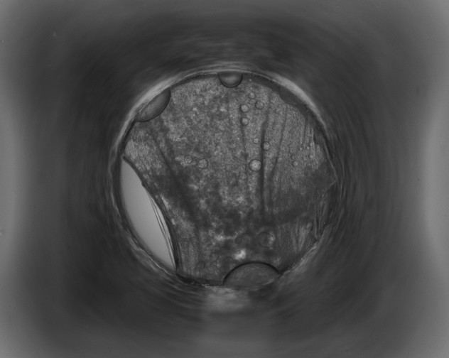 X0000083601413200703021900