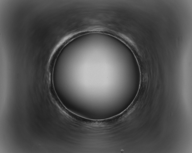 X0000083601414200703021900