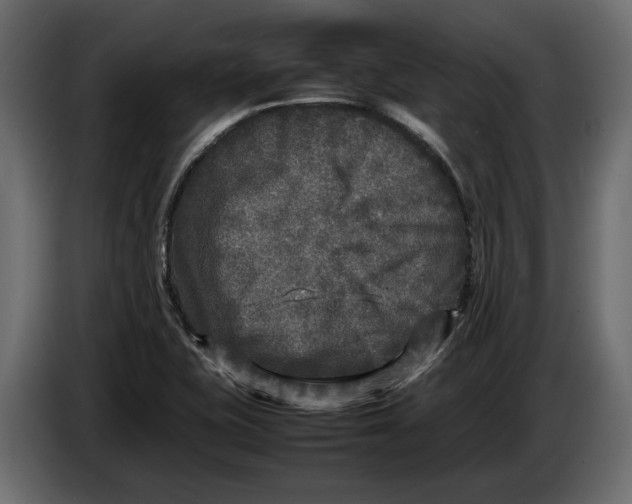 X0000083601415200703021900