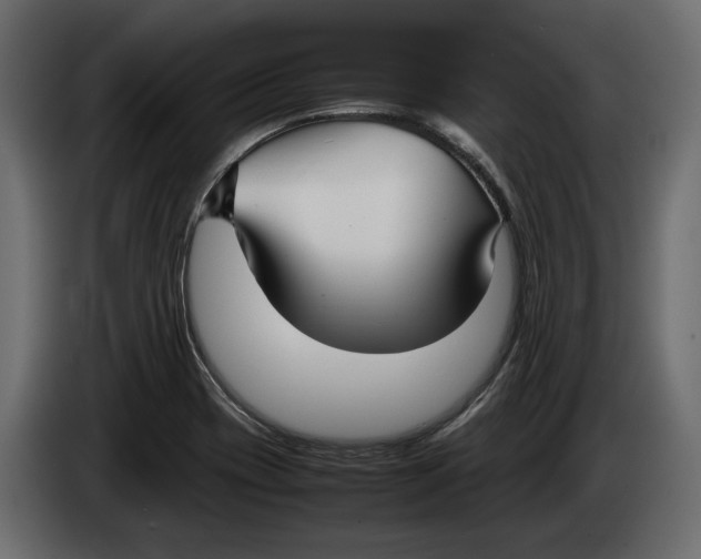 X0000083601417200703021900