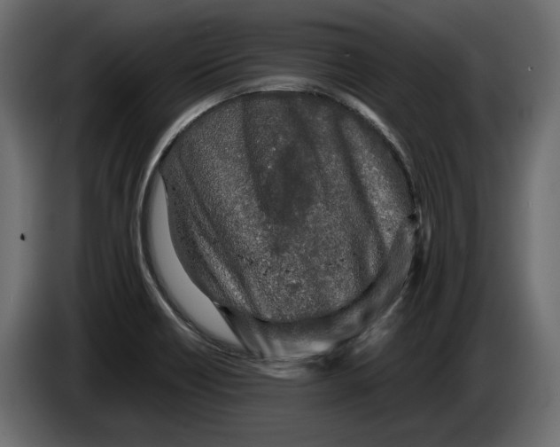 X0000083601418200703021900