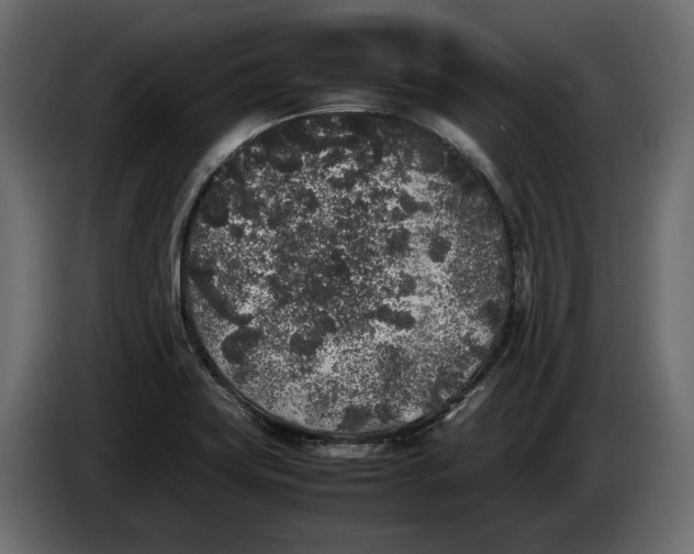 X0000083601419200703021900