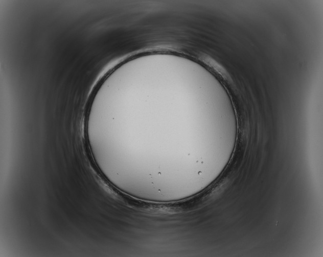 X0000083601420200703021900