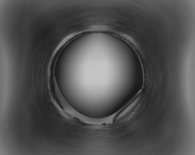 X0000083601422200703021900