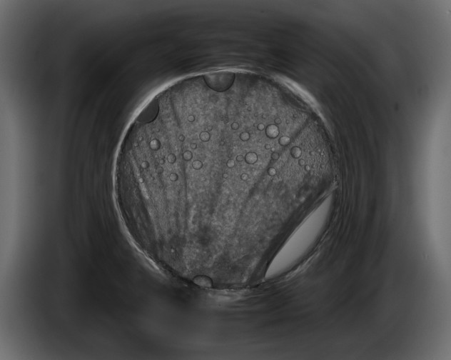 X0000083601423200703021900