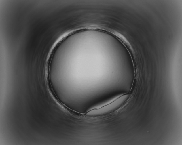 X0000083601424200703021900