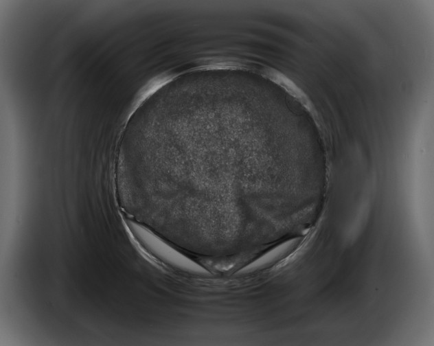 X0000083601425200703021900