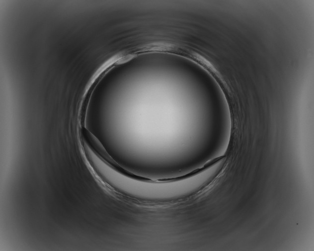 X0000083601426200703021900