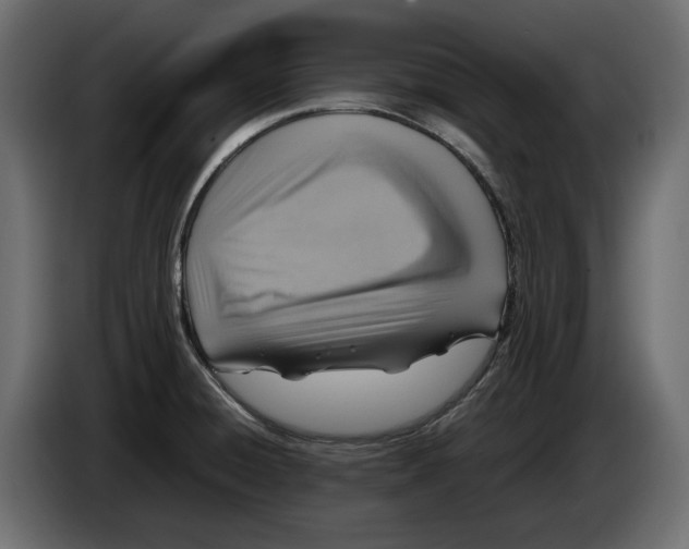 X0000083601428200703021900