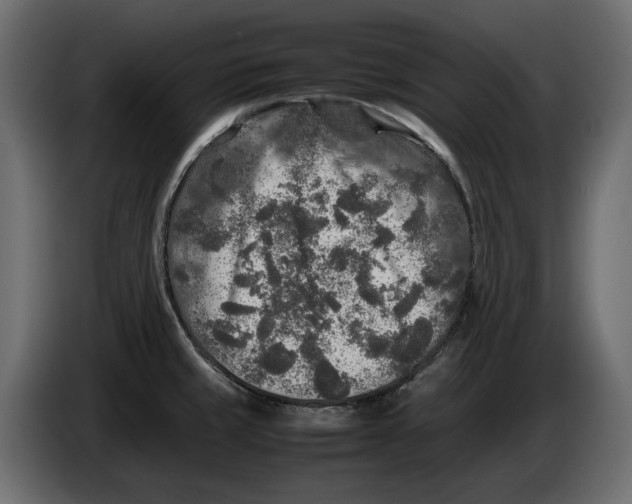 X0000083601429200703021900