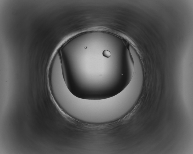 X0000083601430200703021900