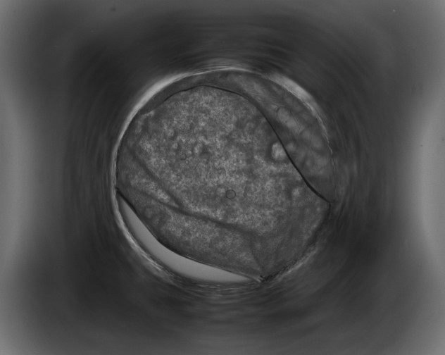 X0000083601431200703021900