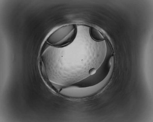 X0000083601432200703021901