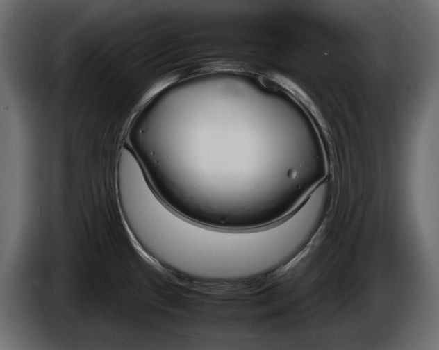 X0000083601433200703021901