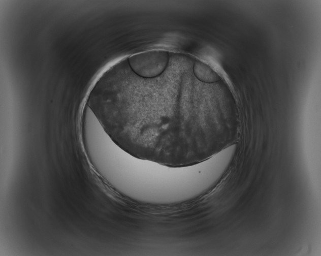 X0000083601435200703021901