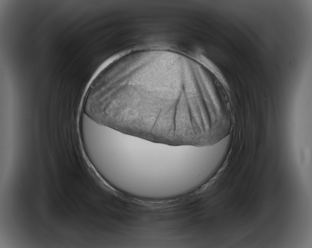 X0000083601436200703021901