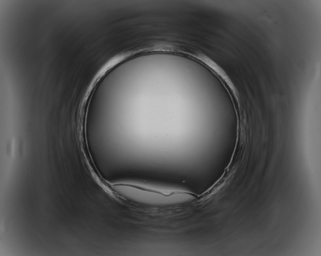 X0000083601437200703021901