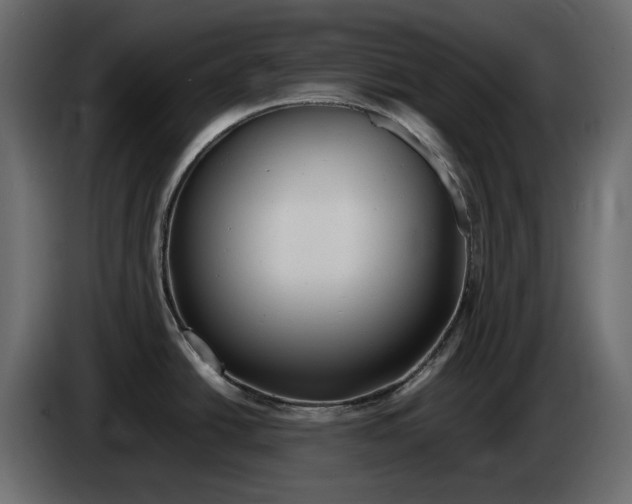 X0000083601438200703021901