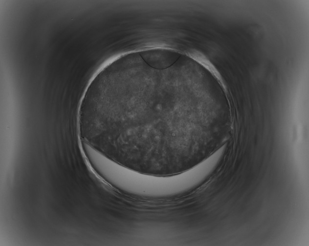 X0000083601439200703021901