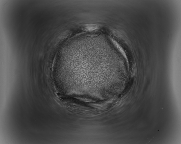 X0000083601441200703021900