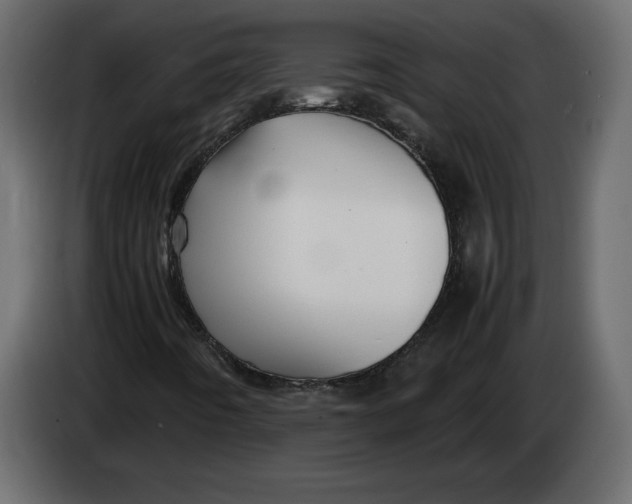 X0000083601442200703021900