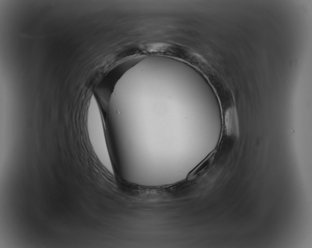 X0000083601443200703021900