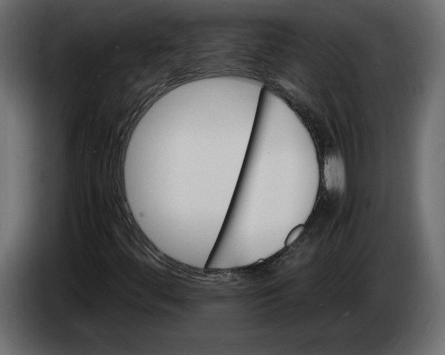 X0000083601444200703021900