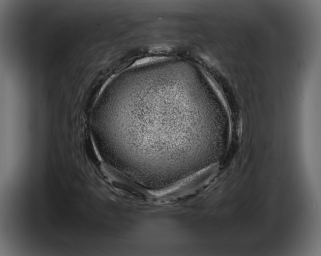 X0000083601445200703021900