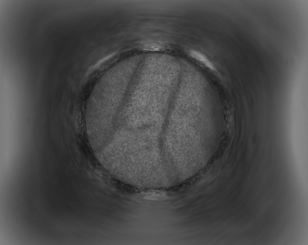 X0000083601446200703021900