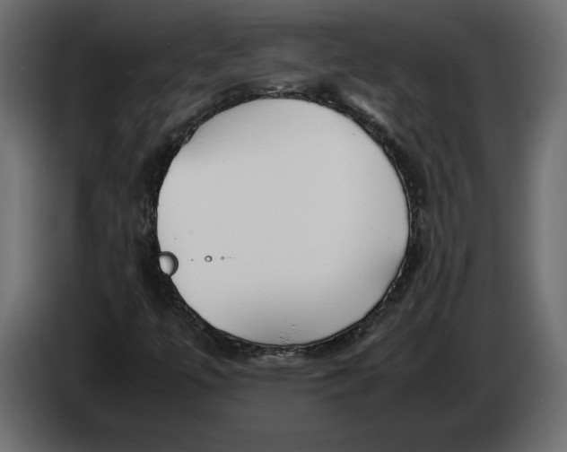 X0000083601447200703021900