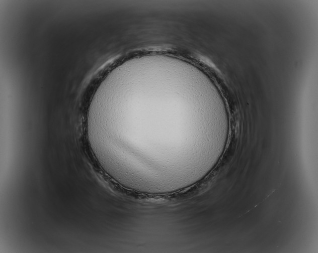 X0000083601448200703021900