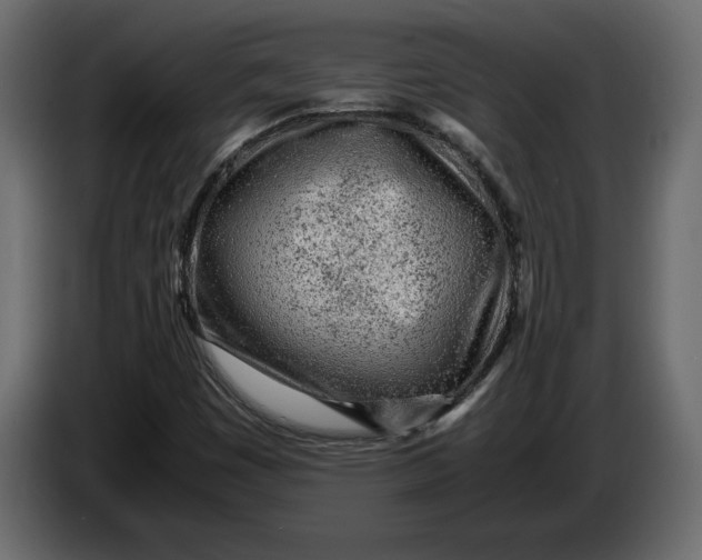 X0000083601449200703021900