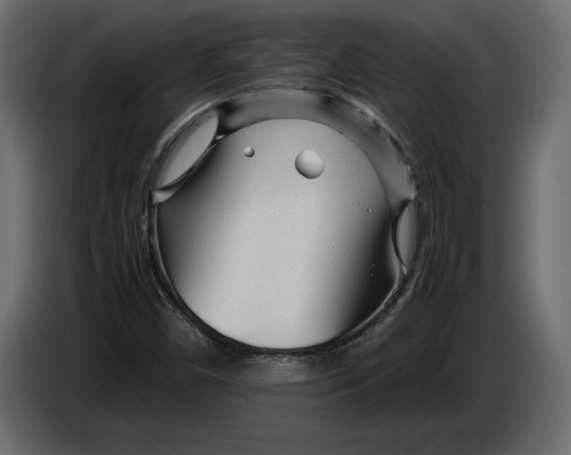 X0000083601450200703021900