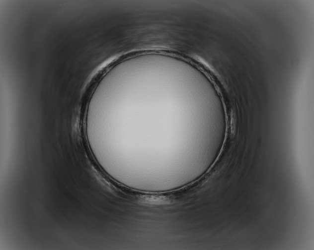 X0000083601452200703021900