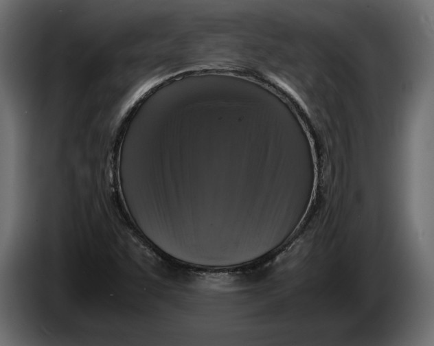 X0000083601455200703021900