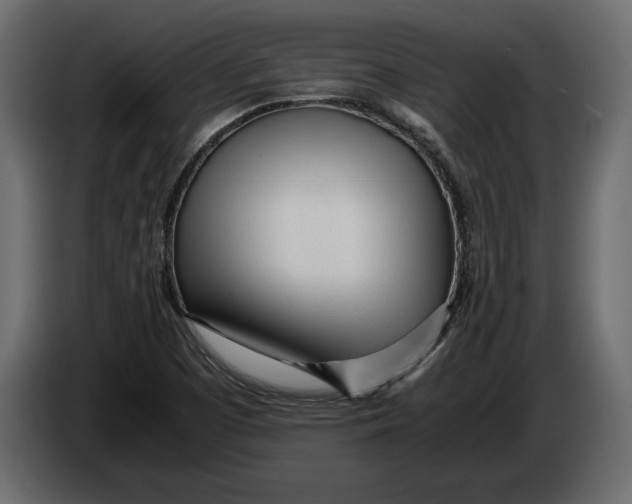 X0000083601457200703021859