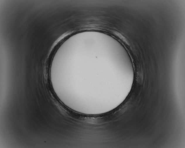 X0000083601458200703021859