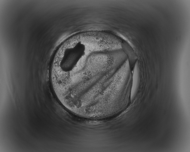 X0000083601459200703021859