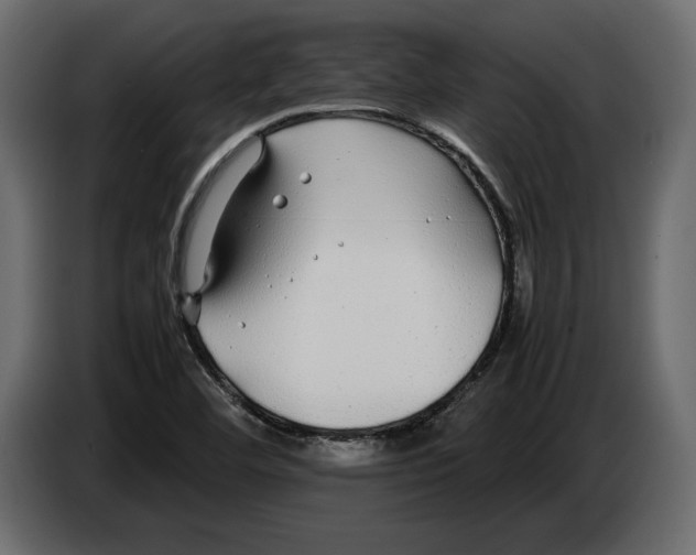 X0000083601460200703021859