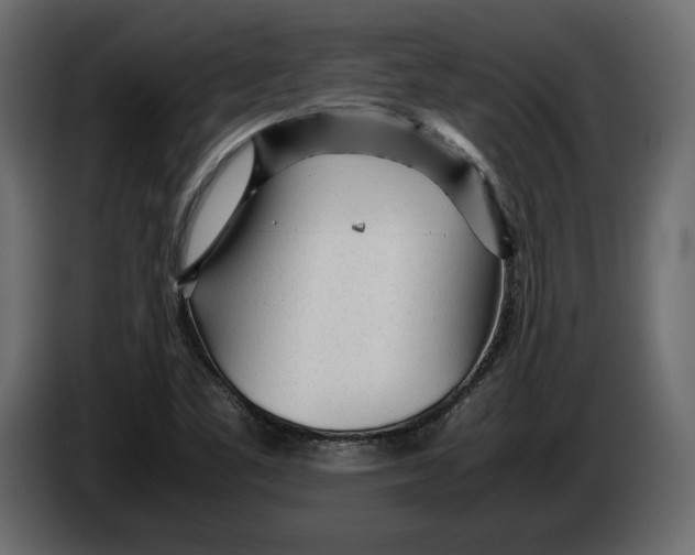 X0000083601461200703021859