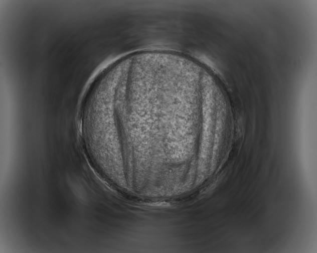 X0000083601462200703021859