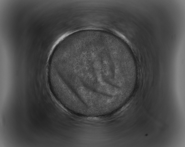 X0000083601463200703021859