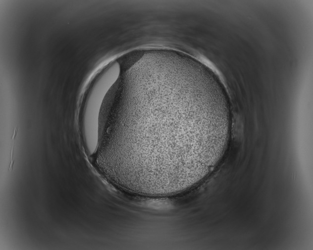 X0000083601464200703021859