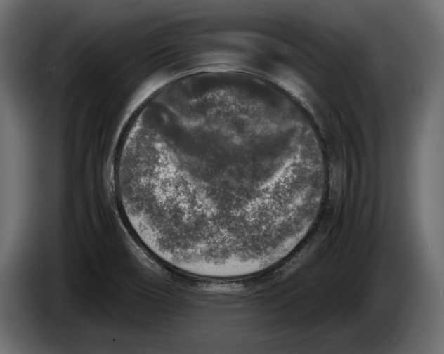 X0000083601466200703021859